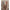 Zimmermann Rhiannon short Dress