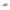 Vans White Polyester Women Sneaker