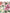 Dolce & Gabbana Multicolor Floral High Waist Straight Pants