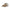 Carrera Brown Polyester Men Sneaker
