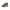 Blauer Brown Polyester Sneaker
