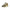 Blauer Green Polyester Men Sneaker