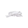 Gant White Cotton Men Scarf