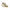 Blauer White Polyester Sneaker