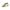 Blauer White Polyester Sneaker