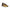 U.S. POLO ASSN. Gold Polyester Sneaker