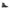 Calvin Klein Sleek Black Ankle Boots with Laces and Zip Detail