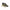 Blauer Green Polyester Sneaker