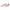 Dolce & Gabbana White Leather DG Logo Low Top Sneaker Shoes