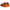 Dolce & Gabbana Orange Portofino Logo Tape Men Sneakers Shoes