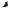 U.S. POLO ASSN. Black Polyester Women Boot