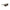 Calvin Klein Green Plastic Mens Sunglasses