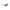 Calvin Klein Brown Haircalf Women Sunglasses
