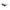 Calvin Klein Black Haircalf Women Sunglass