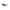 Calvin Klein Brown Bio Based Fabric Sunglasses