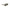 Calvin Klein Brown Bio Based Fabric Sunglasses