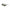 Calvin Klein Green Haircalf Women Sunglass