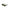 Calvin Klein Green Bio Based Fabric Sunglasses