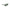 Calvin Klein Green Bio Based Fabric Sunglasses