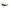 Calvin Klein Brown Haircalf Women Sunglasses