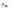Ralph Lauren Brown Leather Sandal