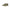 Carrera Green Polyester Sneaker