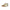 Tommy Hilfiger Beige Leather Men Sneaker