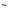 Just Cavalli Black Metal Men Sunglasses