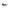 Calvin Klein Brown Plastic Women Sunglass