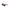 Calvin Klein Red Bio Based Fabric Sunglasses