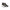 Laura Biagiotti Black Polyester Women Sneaker
