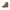 Carrera Elegant Brown Lace-Up Boots with Contrast Detail