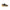 Blauer Green Polyester Sneaker