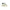 Tommy Hilfiger Green Leather Men Sneaker