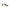 Blauer White Polyester Sneaker