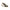 Blauer White Polyester Sneaker
