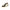 Blauer White Polyester Sneaker
