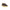 Blauer Brown Leather Men Sneaker