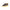 Blauer Brown Leather Men Sneaker