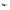 Calvin Klein Black Plastic Men Sunglass