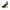 Tommy Hilfiger Black Cotton Women Sandal